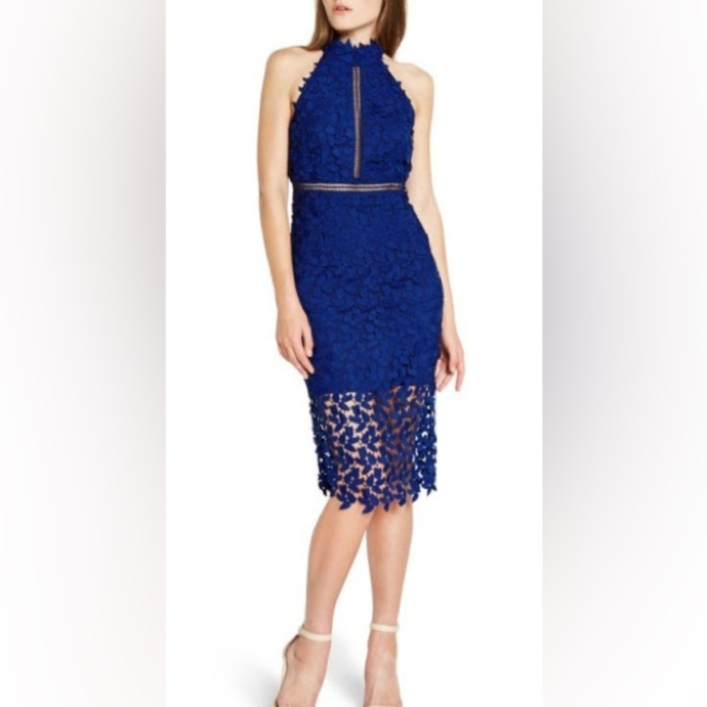 Bardot Gemma Halter Lace Sheath Dress in Cobalt size 8 lace midi